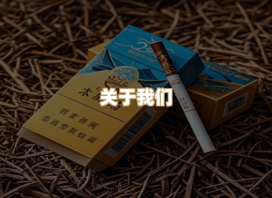 关于蓝帝网